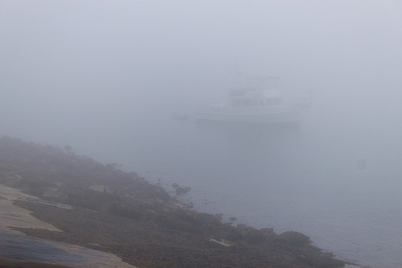 A thick fog rolls in...